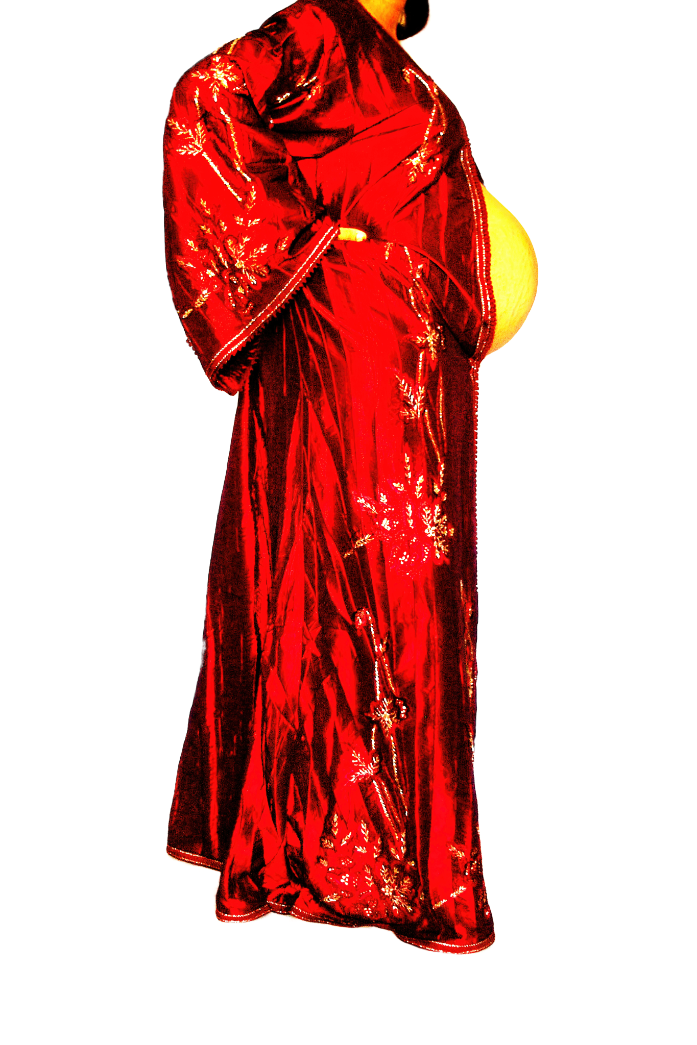 Le Corps Pansant - 2009